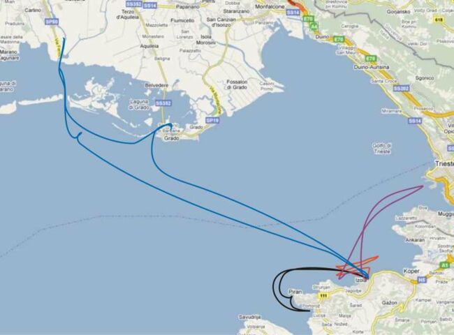 Skippertraining Isola